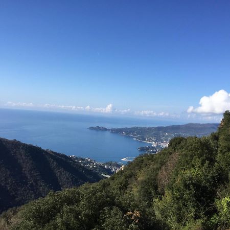 Hotel Montallegro Rapallo Bagian luar foto