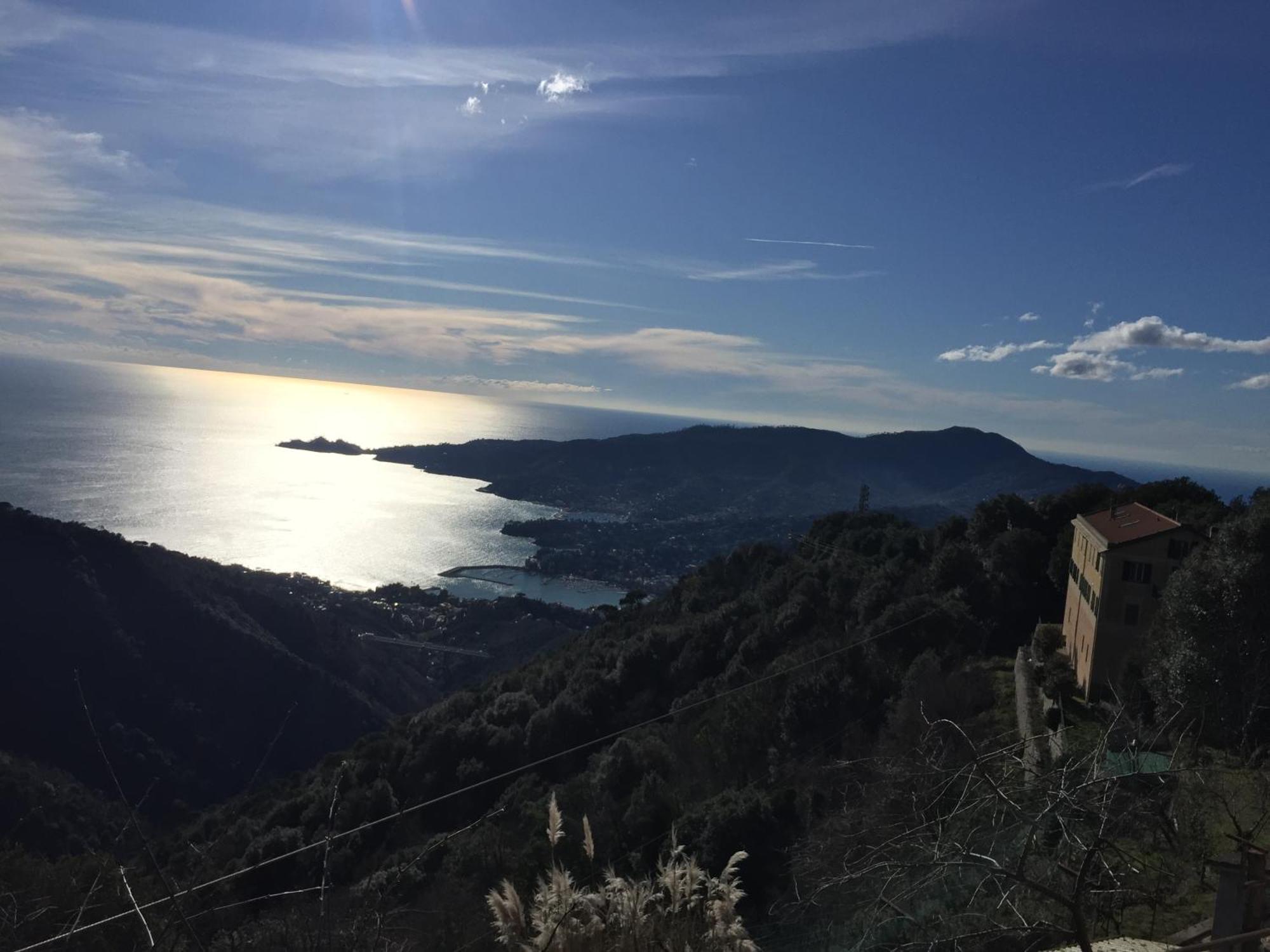 Hotel Montallegro Rapallo Bagian luar foto