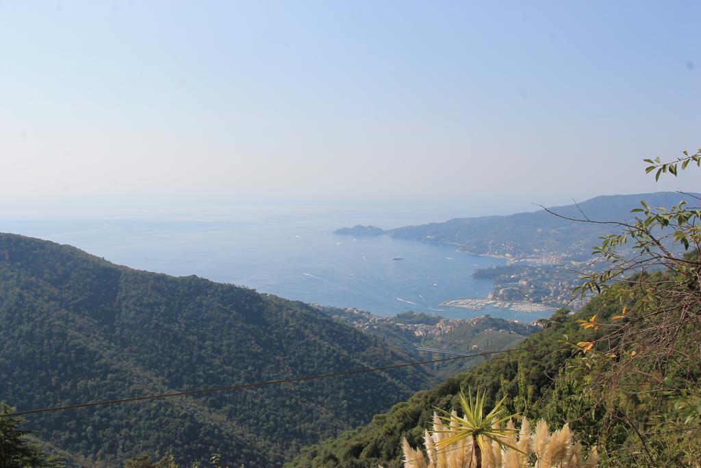Hotel Montallegro Rapallo Bagian luar foto