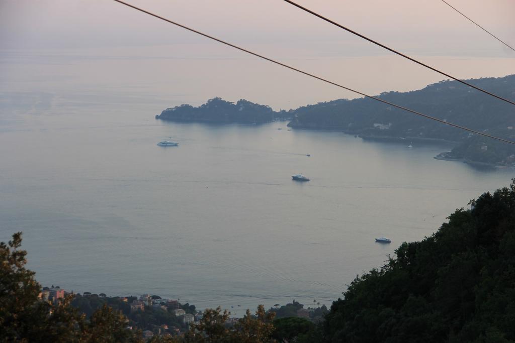 Hotel Montallegro Rapallo Bagian luar foto